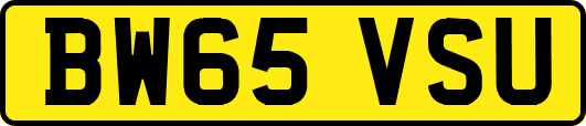BW65VSU