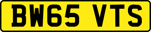 BW65VTS