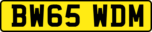 BW65WDM