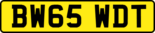 BW65WDT