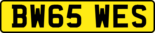 BW65WES