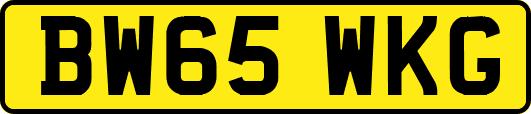 BW65WKG