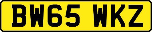 BW65WKZ