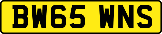 BW65WNS
