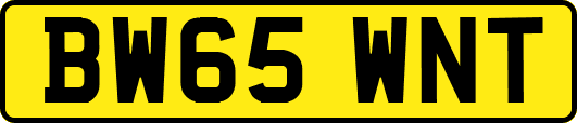 BW65WNT