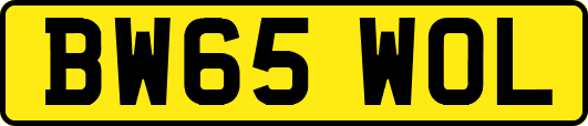 BW65WOL