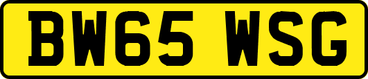 BW65WSG