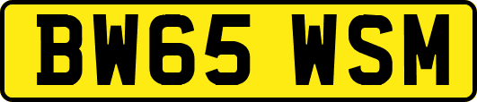 BW65WSM