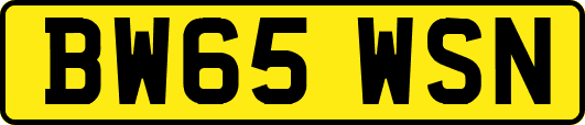 BW65WSN