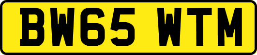 BW65WTM