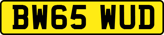 BW65WUD