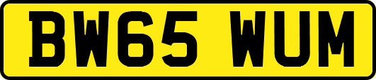 BW65WUM