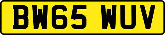 BW65WUV