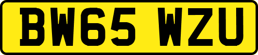 BW65WZU