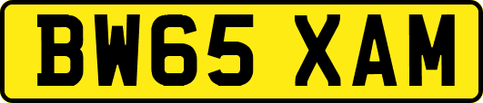 BW65XAM