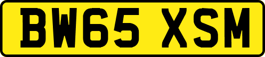 BW65XSM