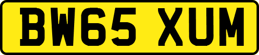 BW65XUM