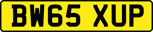 BW65XUP