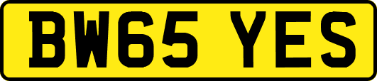 BW65YES