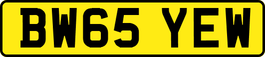 BW65YEW