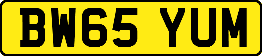 BW65YUM
