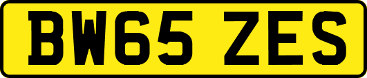 BW65ZES