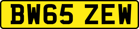 BW65ZEW