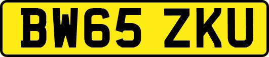 BW65ZKU