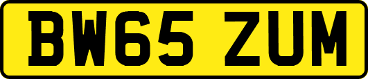 BW65ZUM