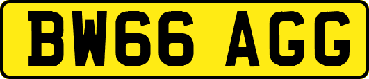 BW66AGG