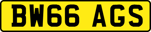 BW66AGS