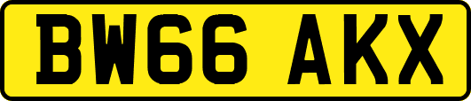 BW66AKX