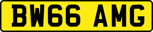 BW66AMG