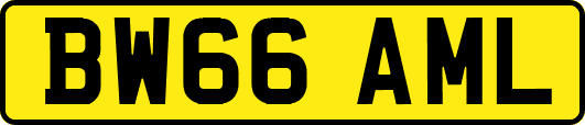 BW66AML