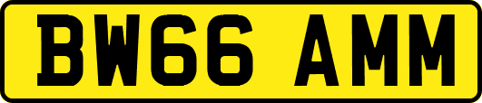 BW66AMM