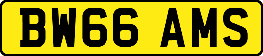 BW66AMS