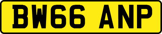 BW66ANP