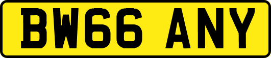 BW66ANY