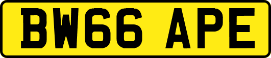 BW66APE