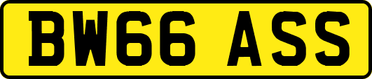 BW66ASS