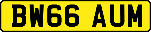 BW66AUM