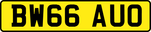 BW66AUO