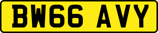 BW66AVY