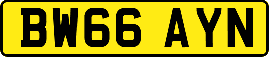 BW66AYN