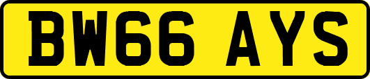 BW66AYS