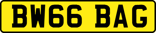 BW66BAG