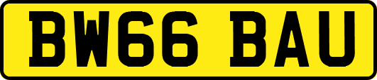 BW66BAU