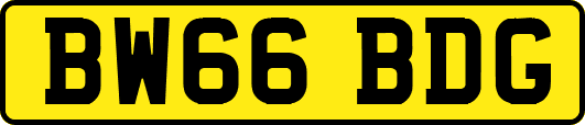 BW66BDG