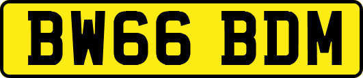 BW66BDM