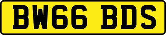 BW66BDS